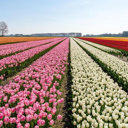 Vakantiehuis De Wilgenhof Wetering 外观 照片