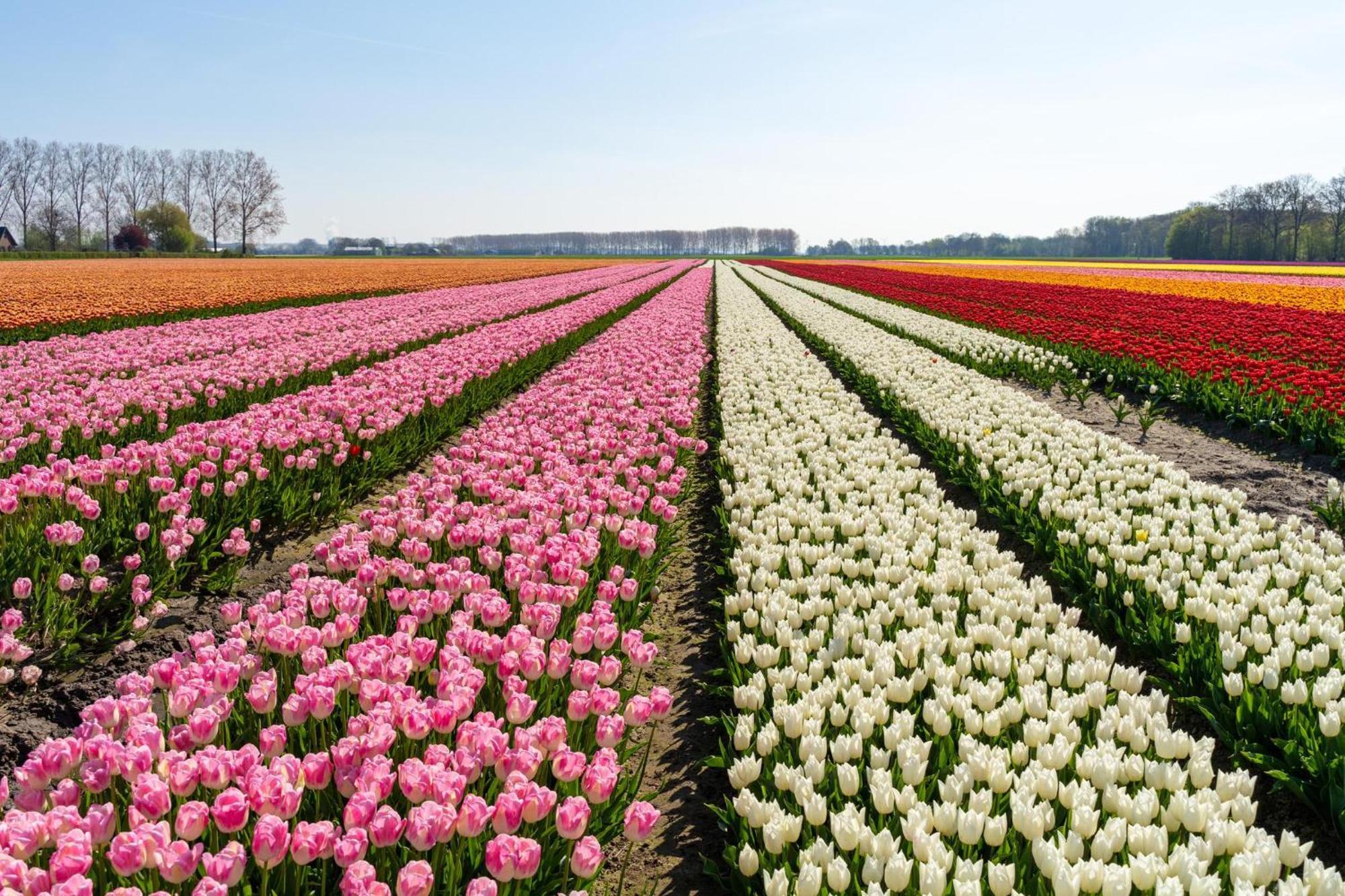 Vakantiehuis De Wilgenhof Wetering 外观 照片