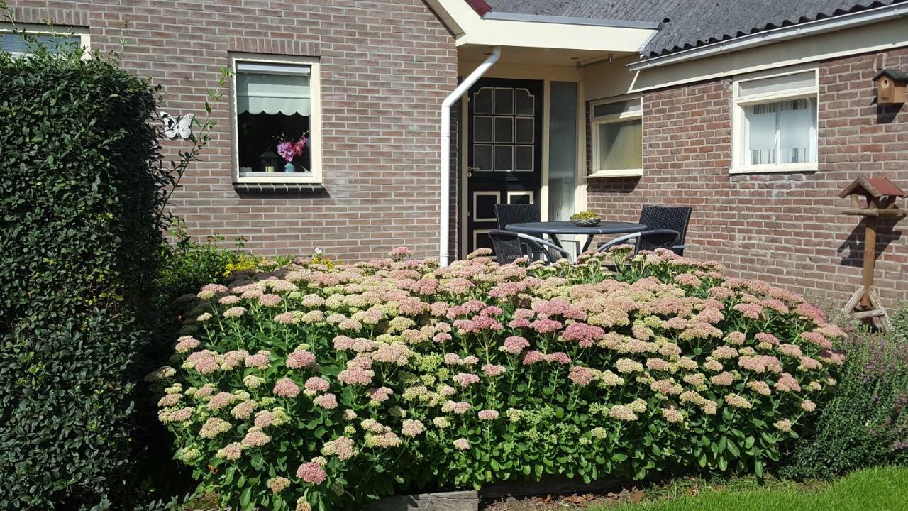 Vakantiehuis De Wilgenhof Wetering 外观 照片